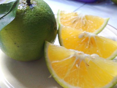 Orange Fruit