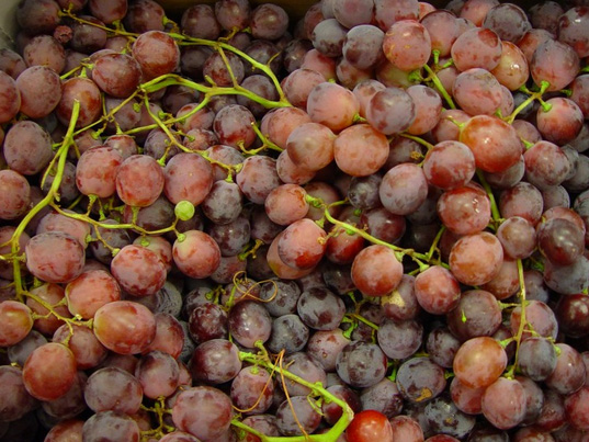 Grapes Fruit