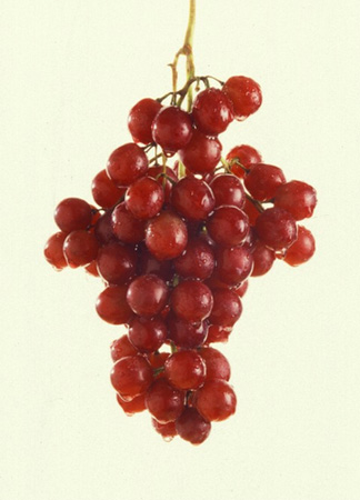Grapes Fruit