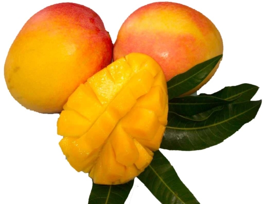 Mango fruit nutrition facts